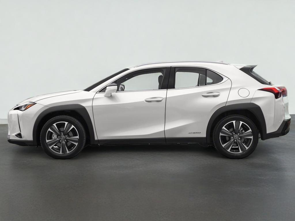 2021 Lexus UX 250h 250h