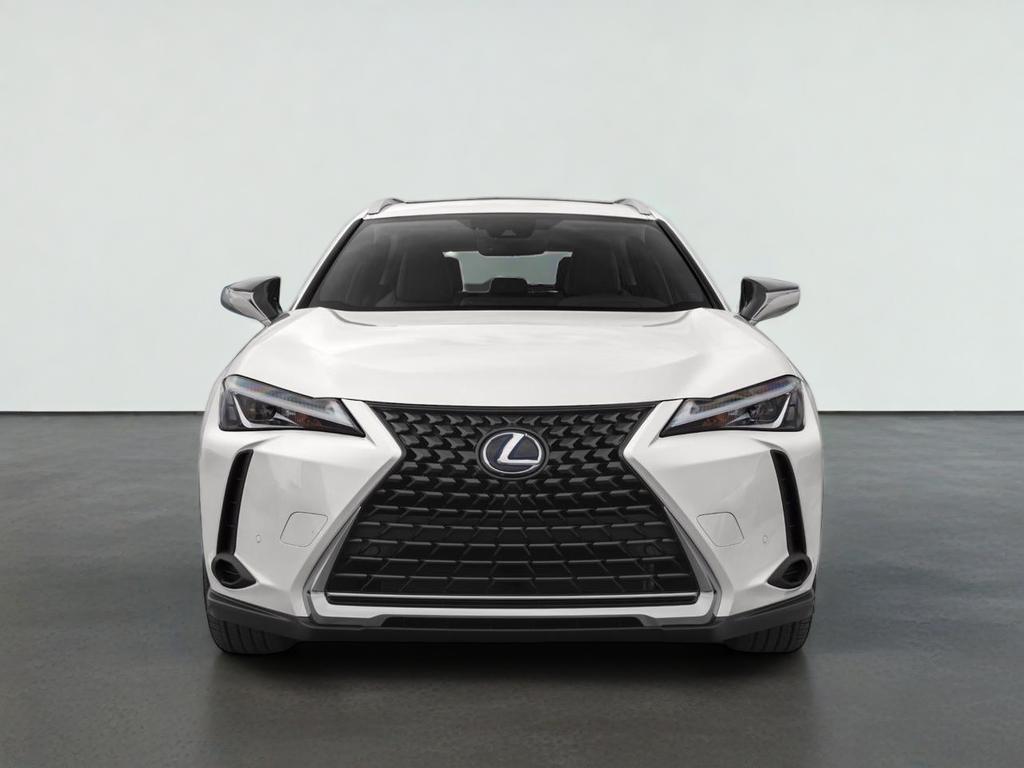 2021 Lexus UX 250h 250h