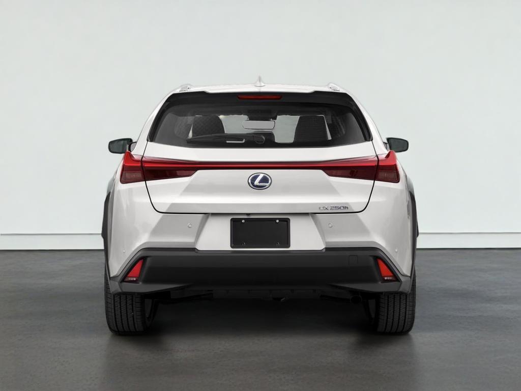 2021 Lexus UX 250h 250h