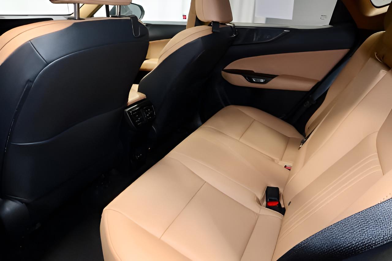 2024 Lexus NX 250 250 Premium