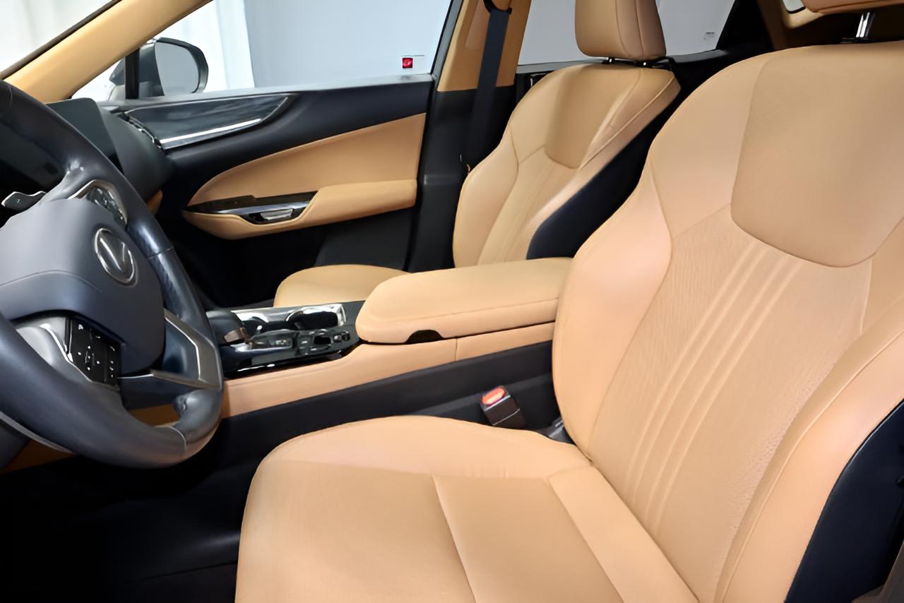 2024 Lexus NX 250 250 Premium