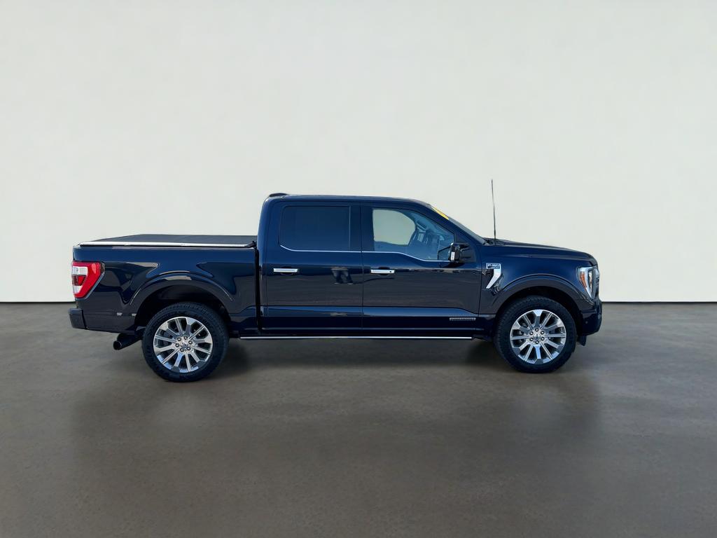 2022 Ford F-150 Limited - Photo 6