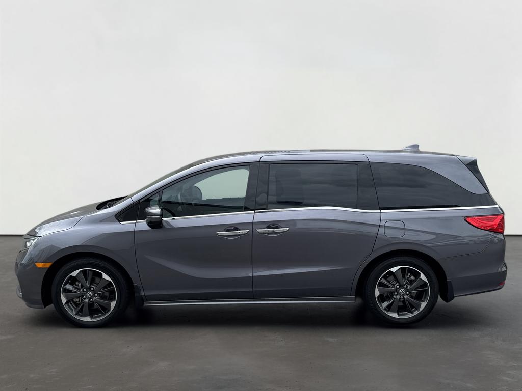 2024 Honda Odyssey Elite