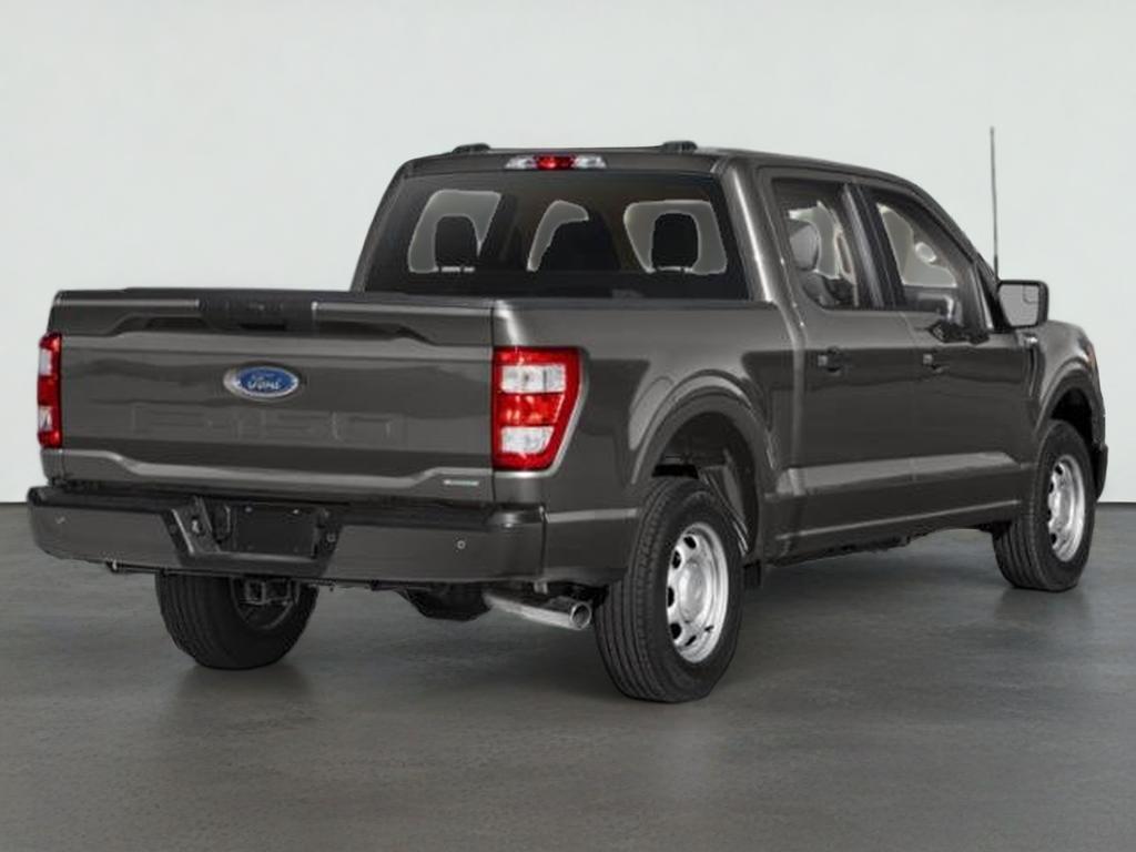 1FTEW1EP8PFB06350