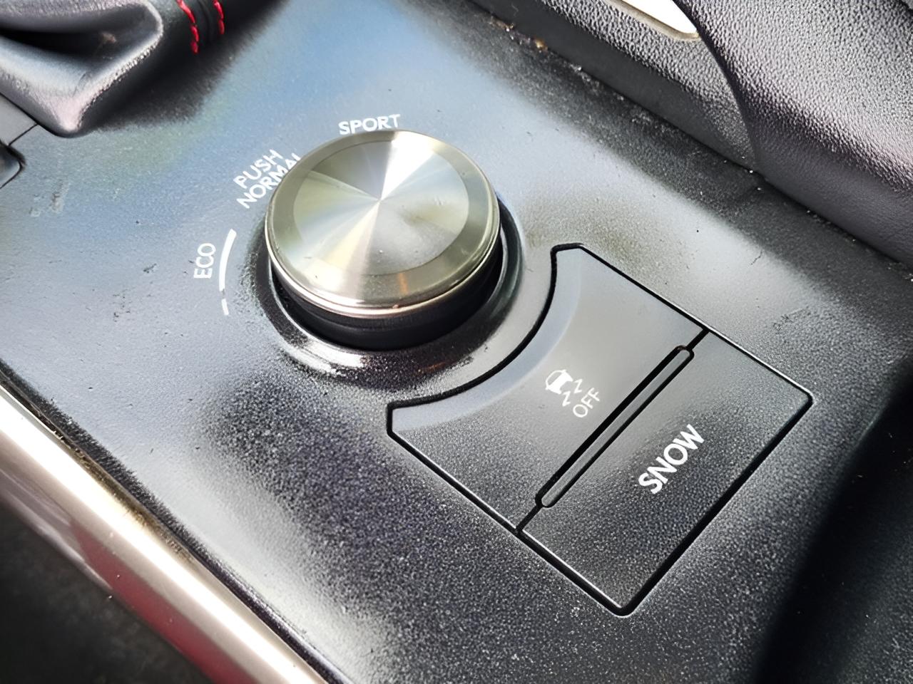 2019 Lexus IS 300