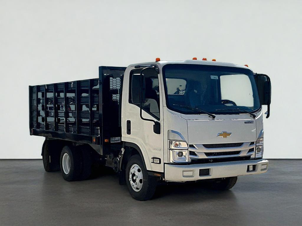 2025 Chevrolet Low Cab Forward 3500 HG Base