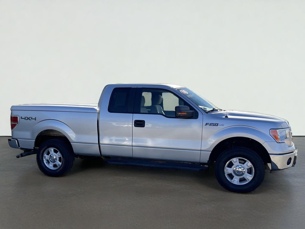 2010 Ford F-150 Base