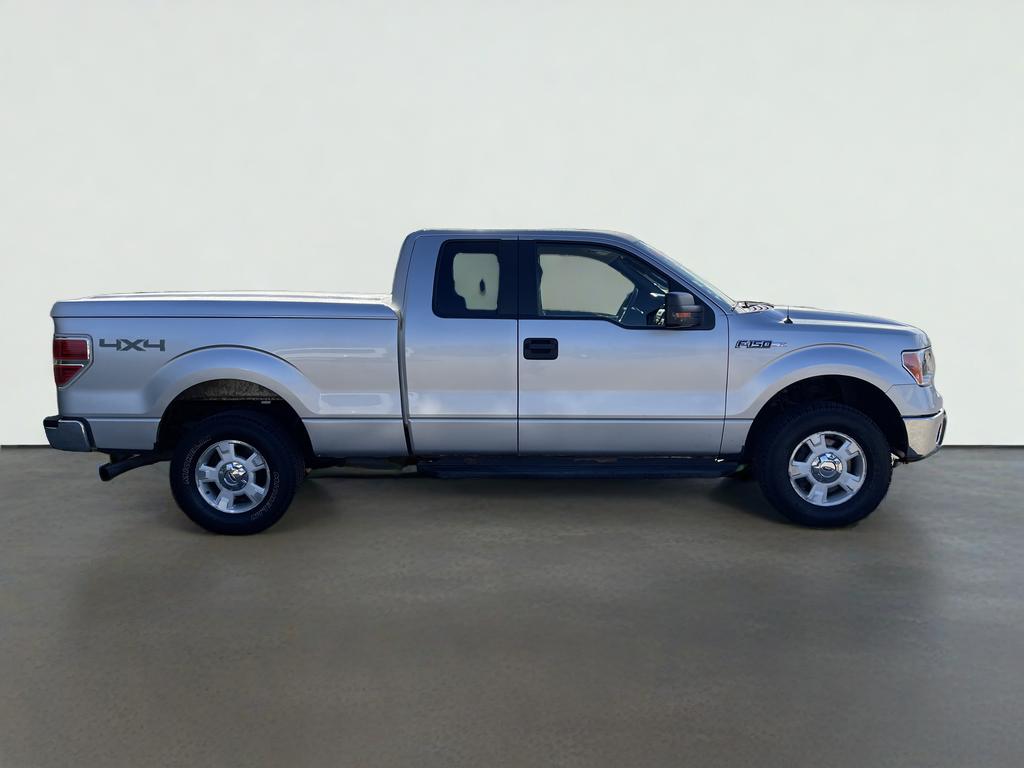 2010 Ford F-150 Base