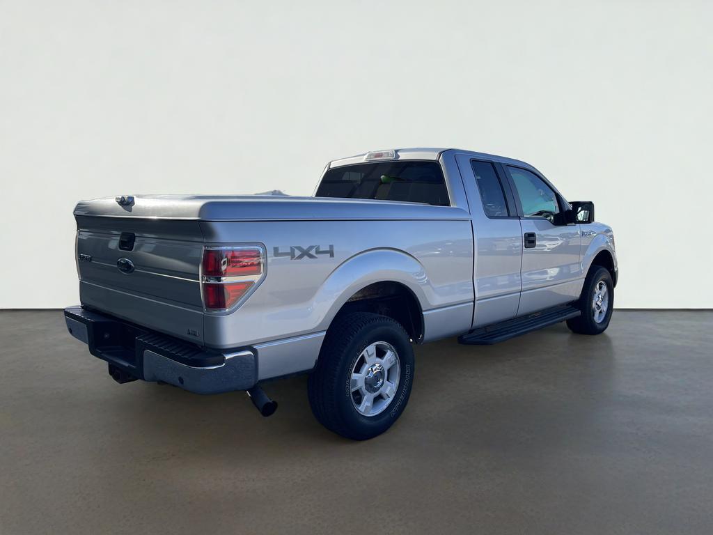 2010 Ford F-150 Base
