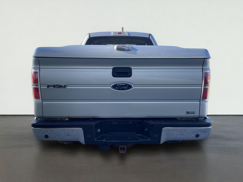 2010 Ford F-150 Base