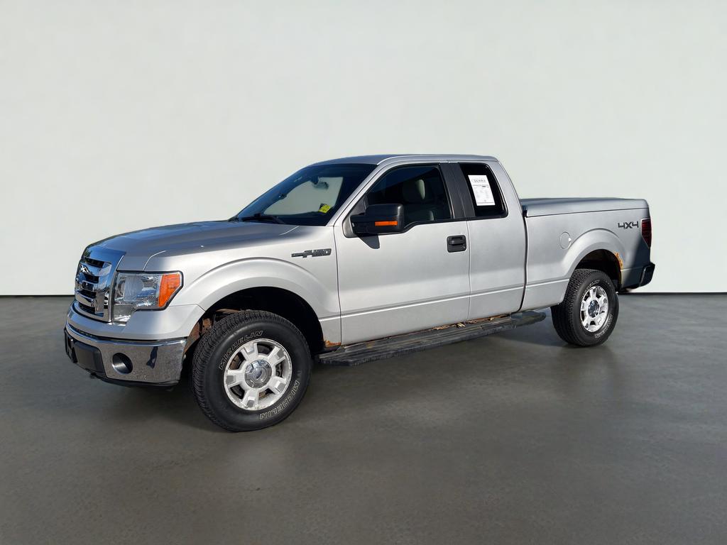 2010 Ford F-150 Base