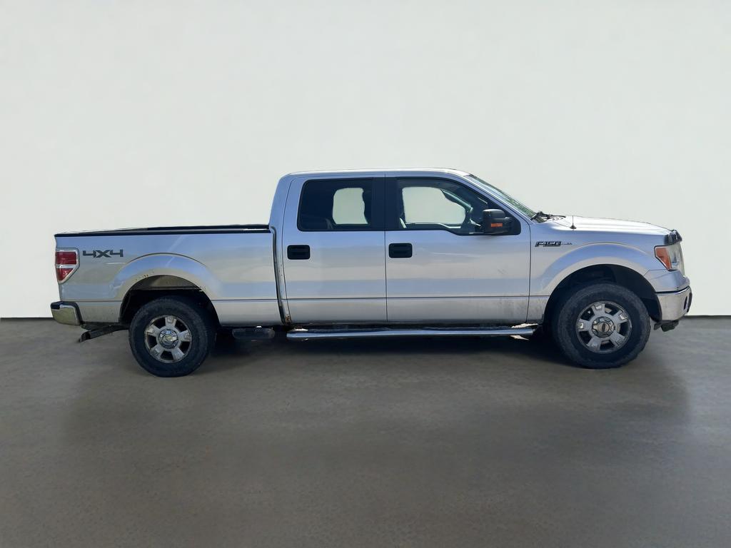 2010 Ford F-150 XL