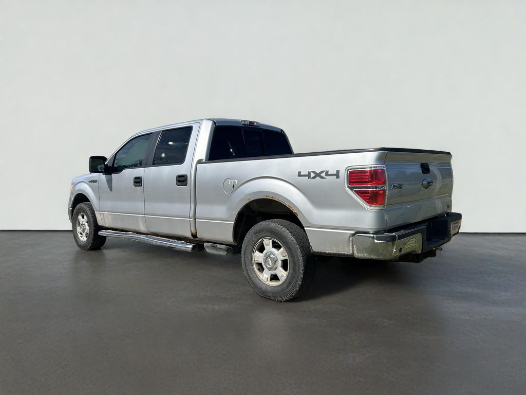 2010 Ford F-150 XL