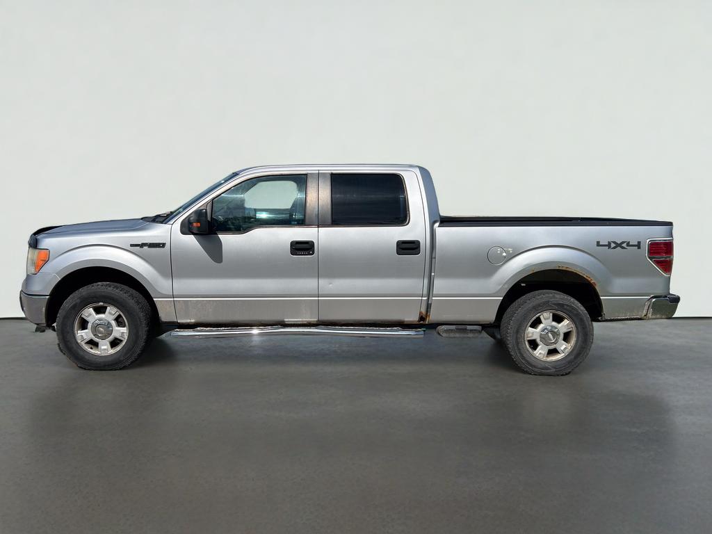 2010 Ford F-150 XL