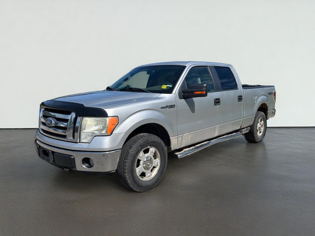 2010 Ford F-150 XL