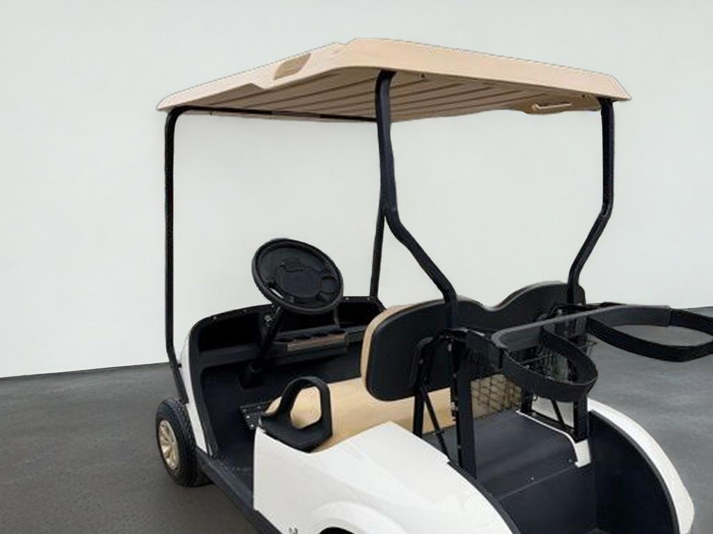 2021 E-Z-GO EX1 EF1