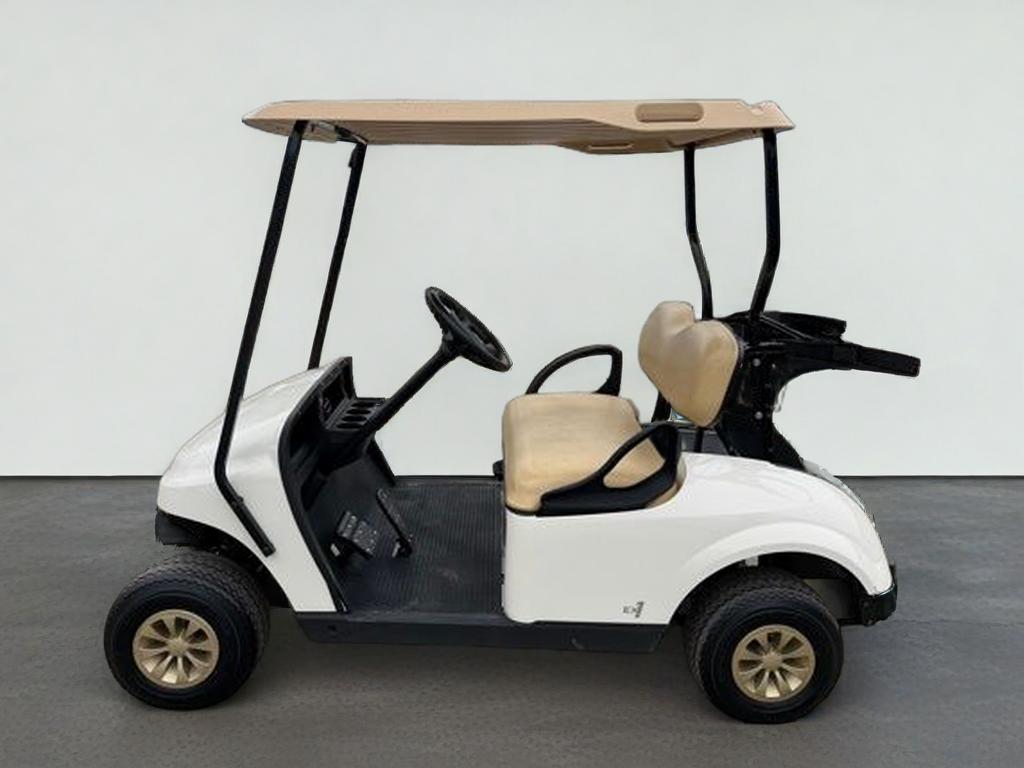2021 E-Z-GO EX1 EF1