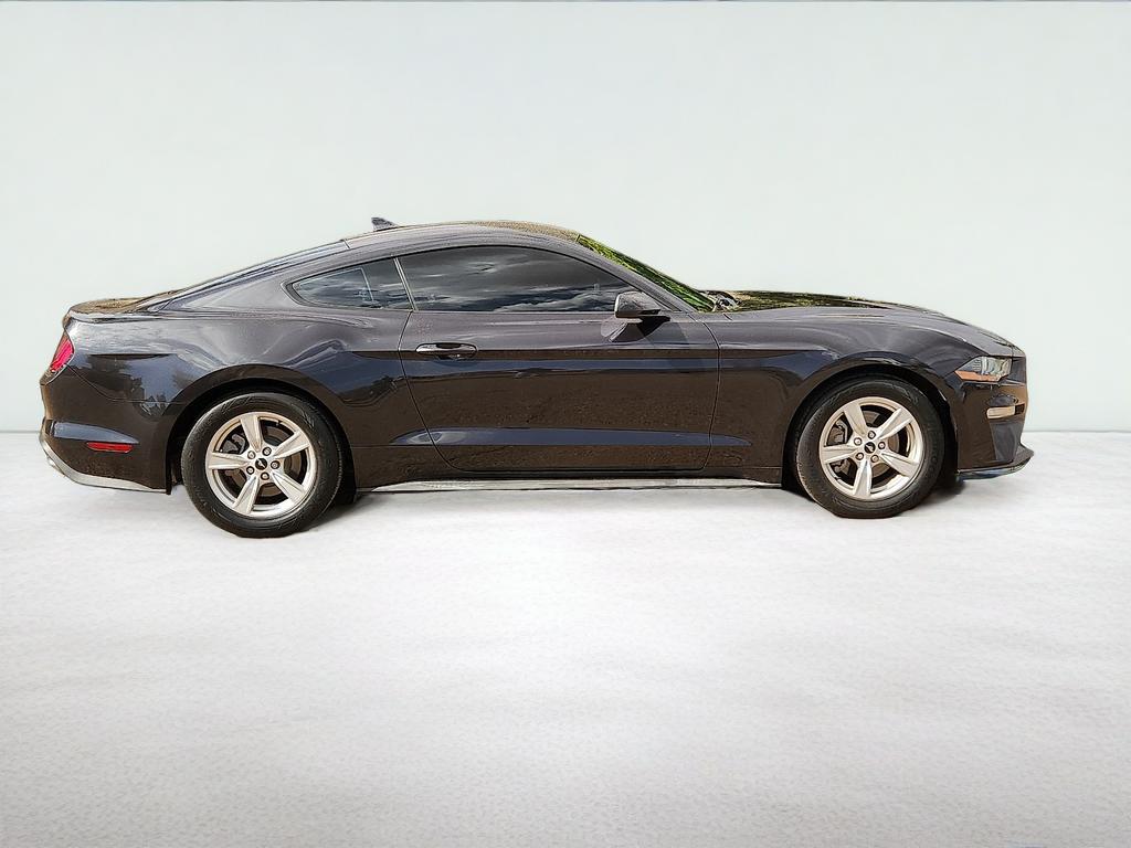 2022 Ford Mustang EcoBoost