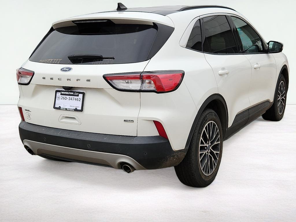 2022 Ford Escape SEL