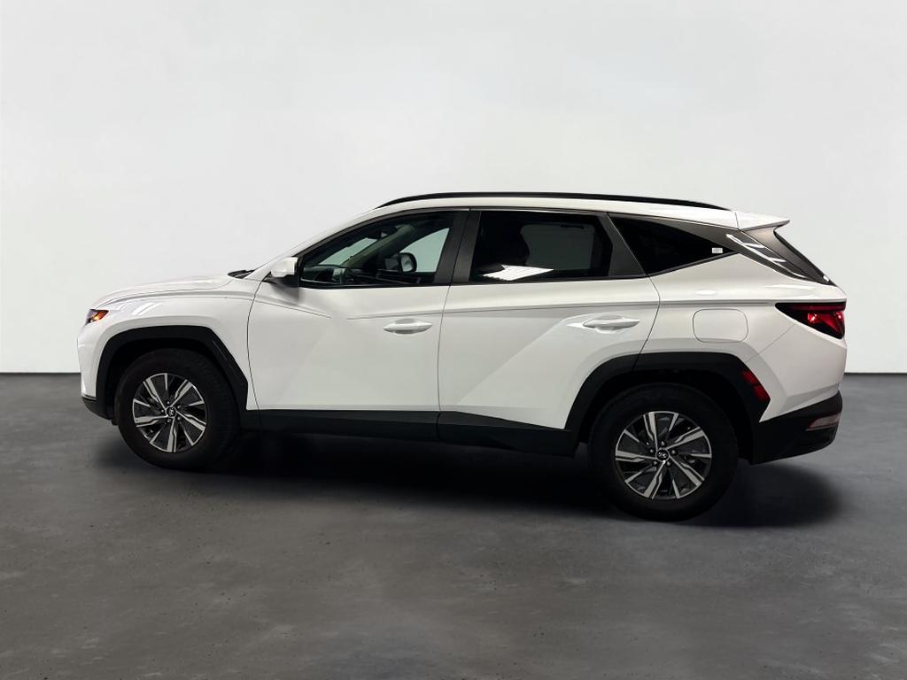 2024 Hyundai Tucson Hybrid Blue